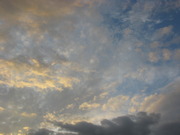 honden foto honden foto van happydorus