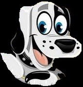 honden foto van DiPerro