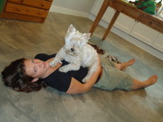 honden foto van Lusan, Binky & Boas (i.m.Wessel)