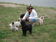 honden foto van juultje