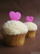 honden foto van Lotte