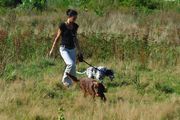 honden foto van gea