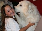 honden foto van Du Chamourel