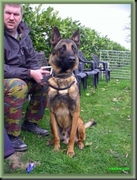 honden foto van Beschuyt Steve