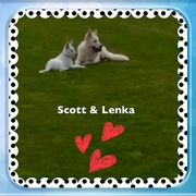 honden foto van Monica