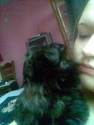 honden foto van simtoontje