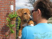 honden foto van Linda