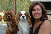 honden foto van Susy De Coster
