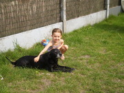 honden foto honden foto van vanessa