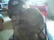 honden foto van Nathalie