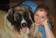 honden foto van Carolien