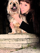 honden foto van sharona