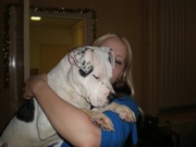 honden foto van Daniela