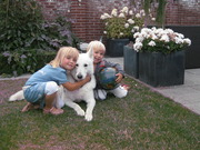 honden foto van Hendriks