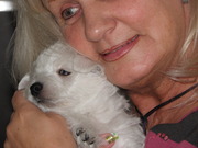 honden foto van Jessica