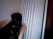 honden foto van Claudia