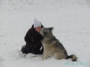honden foto van ramona
