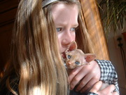 honden foto van kyra