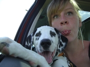 honden foto honden foto van Rianne