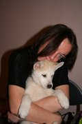 honden foto honden foto van Kelly