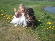 honden foto van Malindy