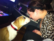 honden foto van Marit en Arjan