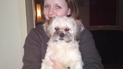honden foto van Lisa Letzer