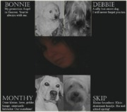 honden foto van Nicole & Bonnie Debbie Skip Monthy