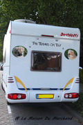 honden foto van The Tibbies on tour