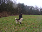 honden foto honden foto van Jurgen