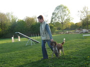 honden foto van Marjo Bartels