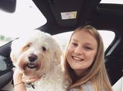 honden foto van Febe Demeyer