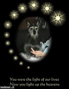 honden foto van Wilma baasje van Shorty en Boomer