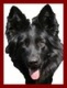 honden foto van Annelies