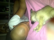 honden foto van Joya