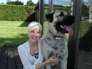 honden foto honden foto van Tahnee