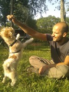 honden foto van Arend