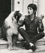 honden foto van Roelofje