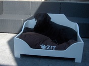 honden foto van lien