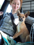 honden foto honden foto van Anouk Kranenburg