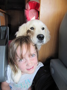 honden foto van Lindeke