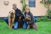 honden foto honden foto van Lotje van de Vorst