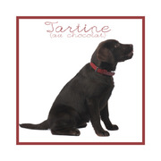 honden foto van tartine