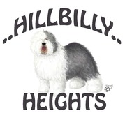 honden foto honden foto van charlotte calmerman van wauwe