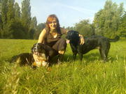 honden foto van Quinten