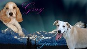 honden foto van Dorien
