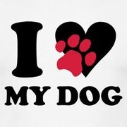 honden foto van ladymortella