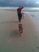 honden foto van Jenngie