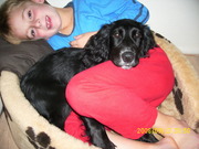 honden foto van jolanda