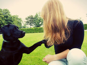 honden foto van Sam_xX
